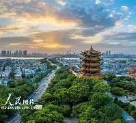 开云体育 APP 下载-武汉三镇最新动态